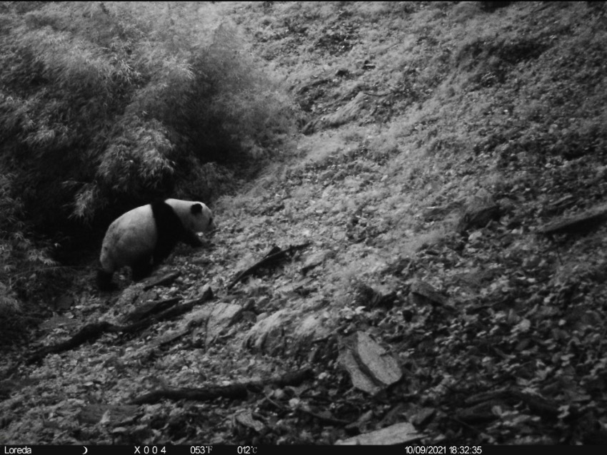 bڰ׹ƺݠ^ʯϸһ_tCĔz؈Ӱ؈ҹ@VԪ־ƼҺƬ^D