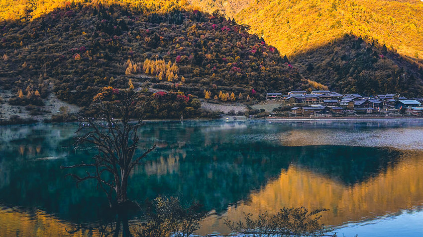 عկdꖏVҕ_ýwĹD