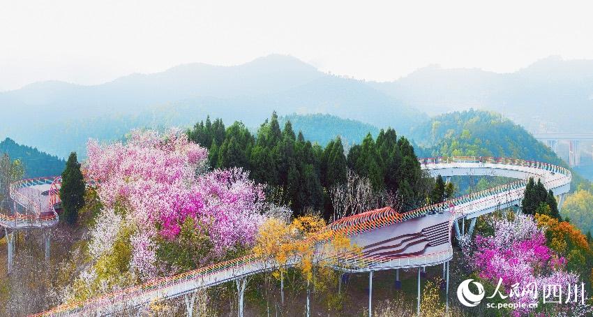 ɶȪɽɭֹ@FѽɾGʾ骔z