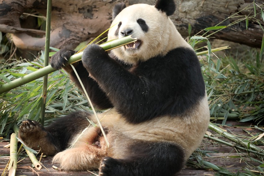 M¼ҵĴ؈ɶ؈оعD