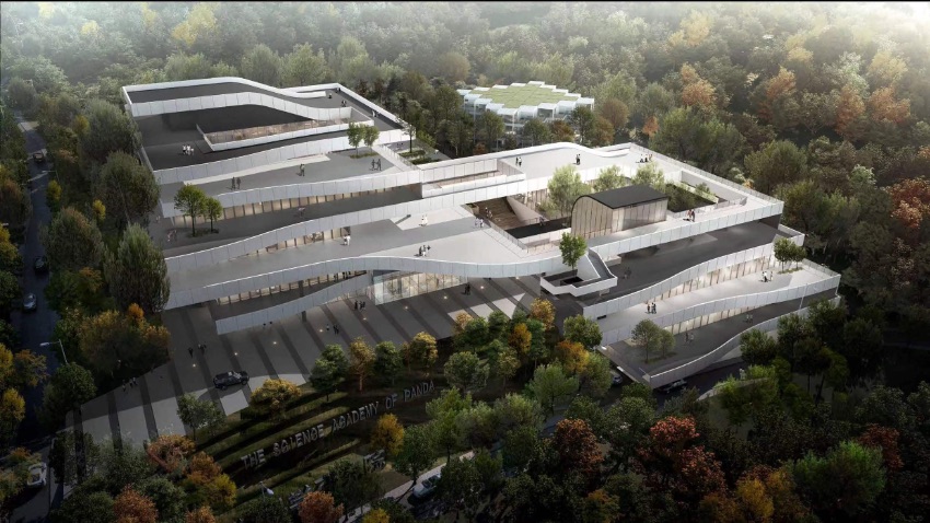 ¿дЧDɶ؈оعD