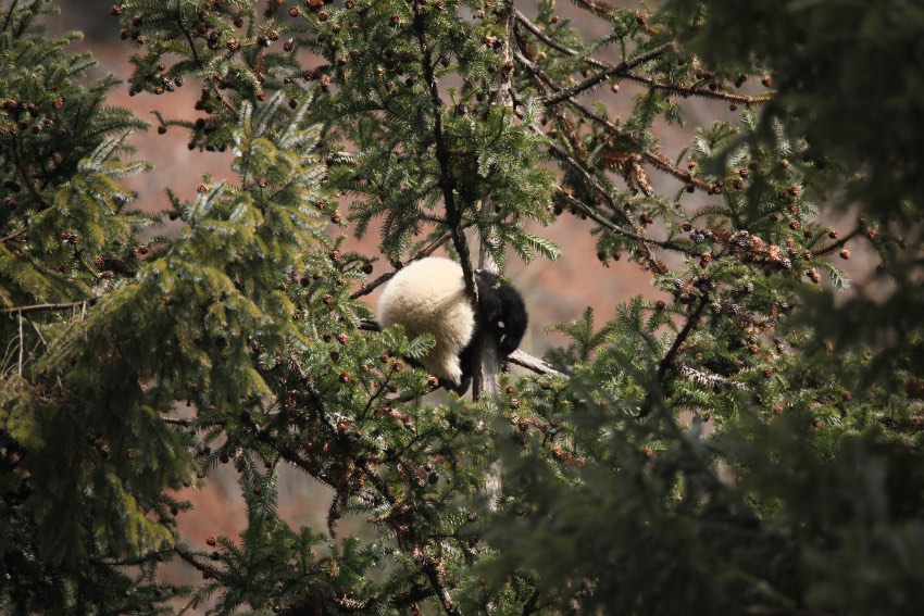 2018ꄂҰġСҡЇ؈oоĹD