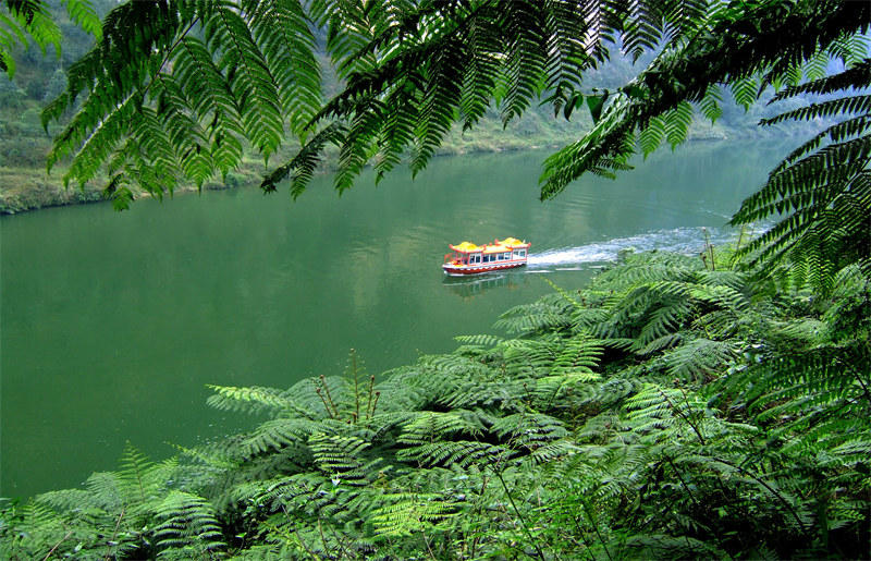 桫欏湖。樂山市生態環境局供圖