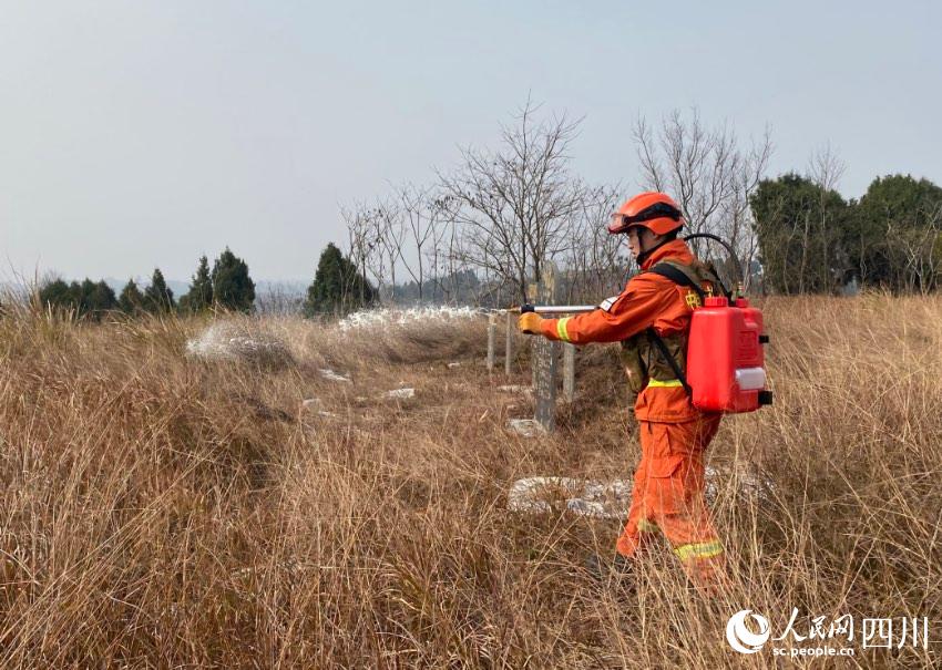 ɶɭԮˆTMМ𑪼ݾSz