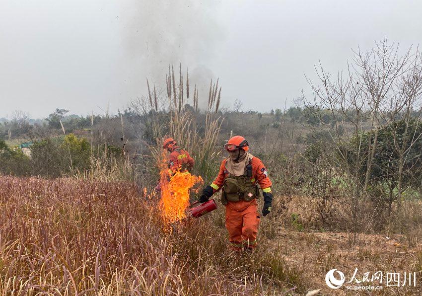 ɶɭԮˆTMМ𑪼ݾSz