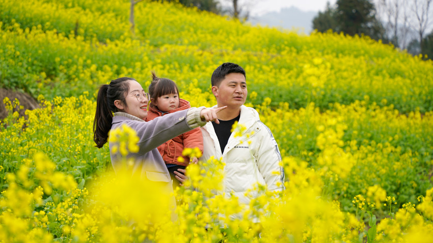 H˵Đǟo߅ĺɽhýwĹD