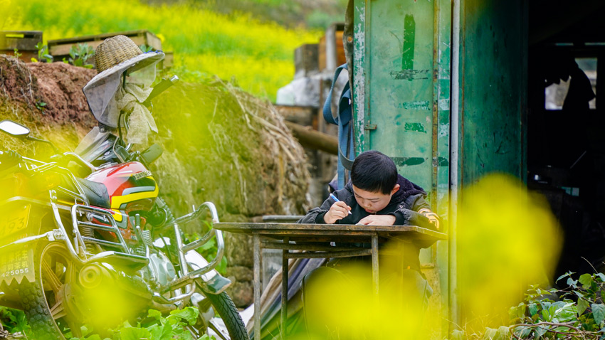 fǧoČW˲ɽhýwĹD