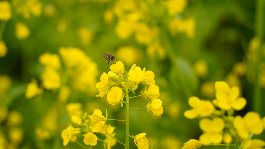 ˻¶Sɫ۷w^ɽhýwĹD