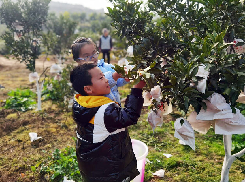 οͲժҰҸýwĹD