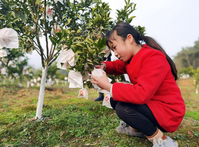 οͲժҰҸýwĹD