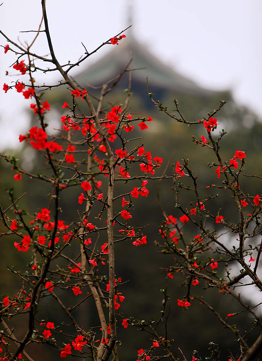 ĺ@ľ`źĻոýD