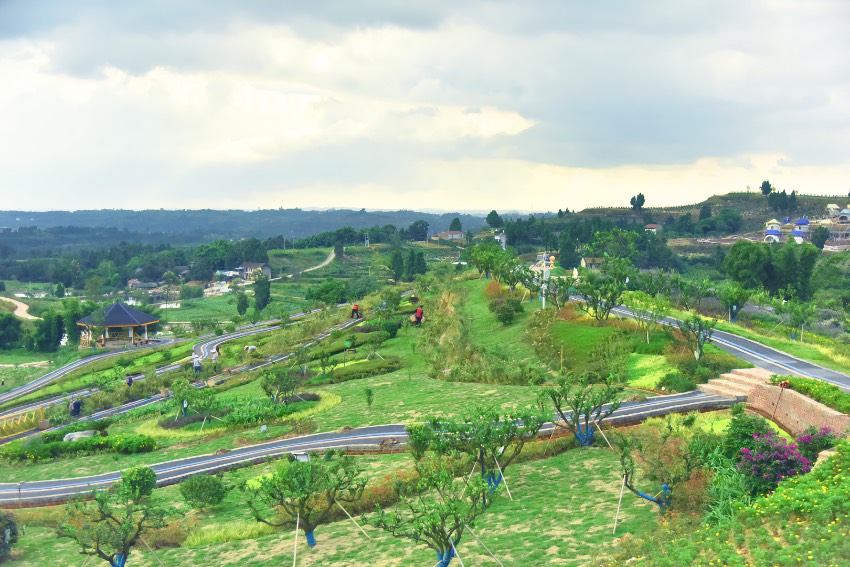 ĴʡY㽭^Sԣ悃¸̽ƷN^ԇ@㽭^ίD 