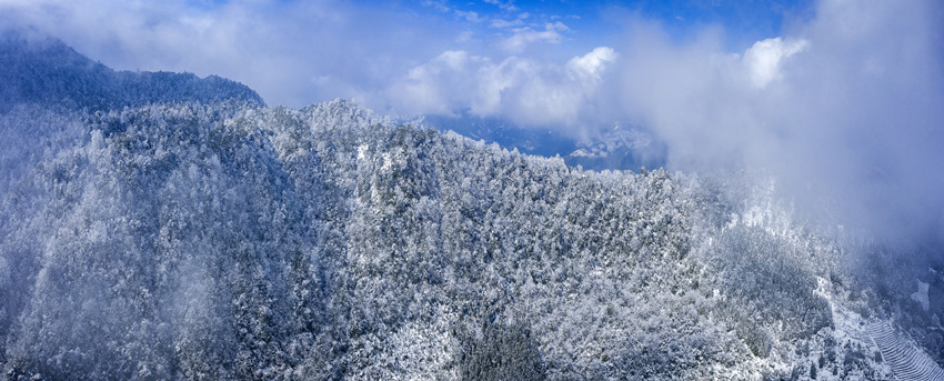 ɽĲ@R߅ýwĹD