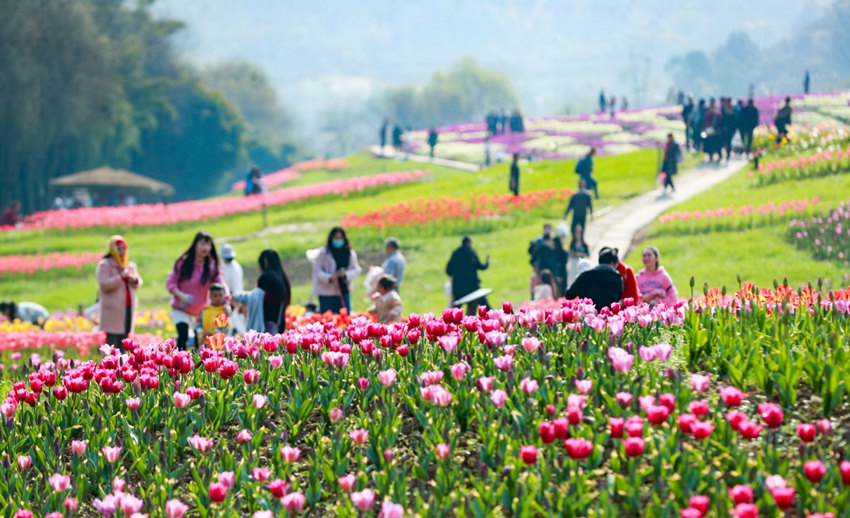 \翗{ϪýwĹD