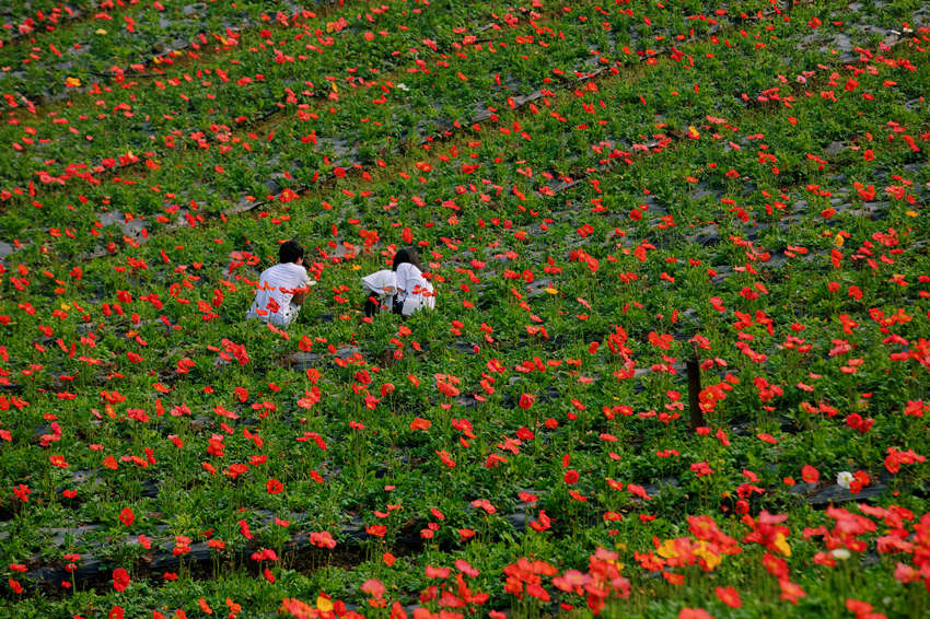 _M˵ɽڴ{ϪýwĹD