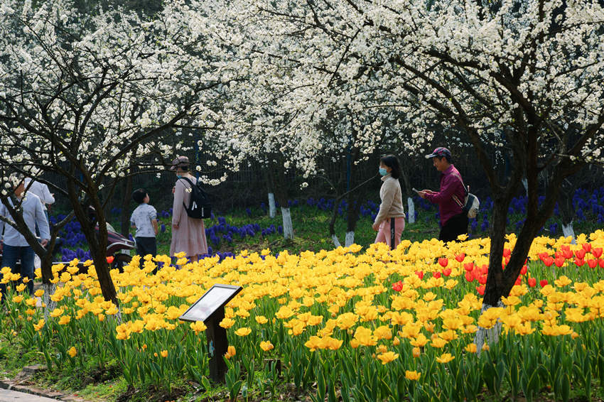 滨m_οǰ{ϪýwĹD