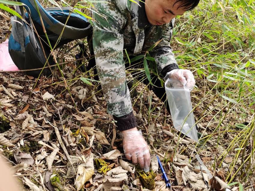 Sȡ؈ҹ@ĴVԪƼҺӹD