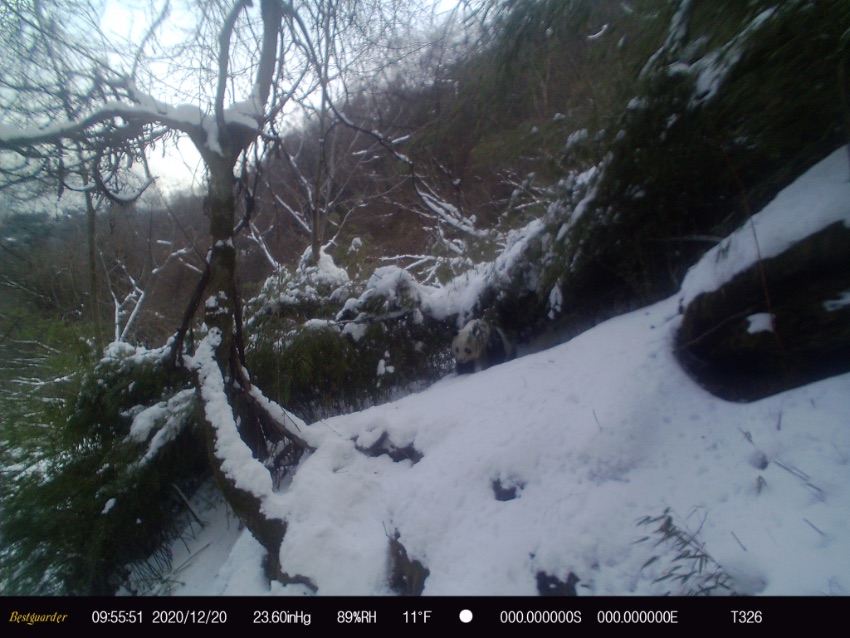 20201220ռtCƬ؈ҹ@ĴVԪƼҺӹD