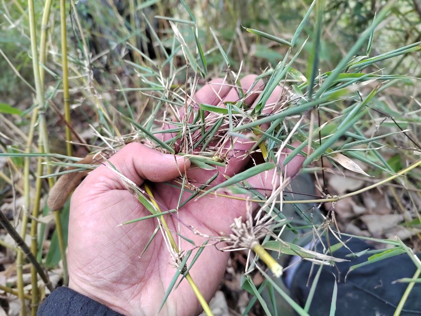 rȡʳE؈ҹ@ĴVԪƼҺӹD