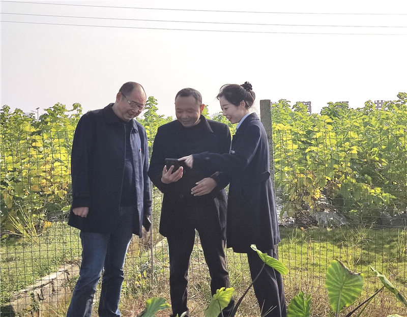 еꖷп͑rBԣrJĴʡйD