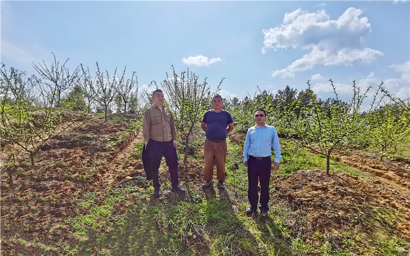 ƽ֧п͑F˽rNֲrĴʡйD