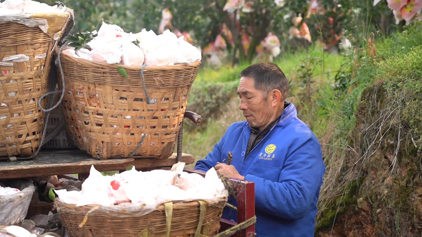 ֪S ruЦ_hýwĹD