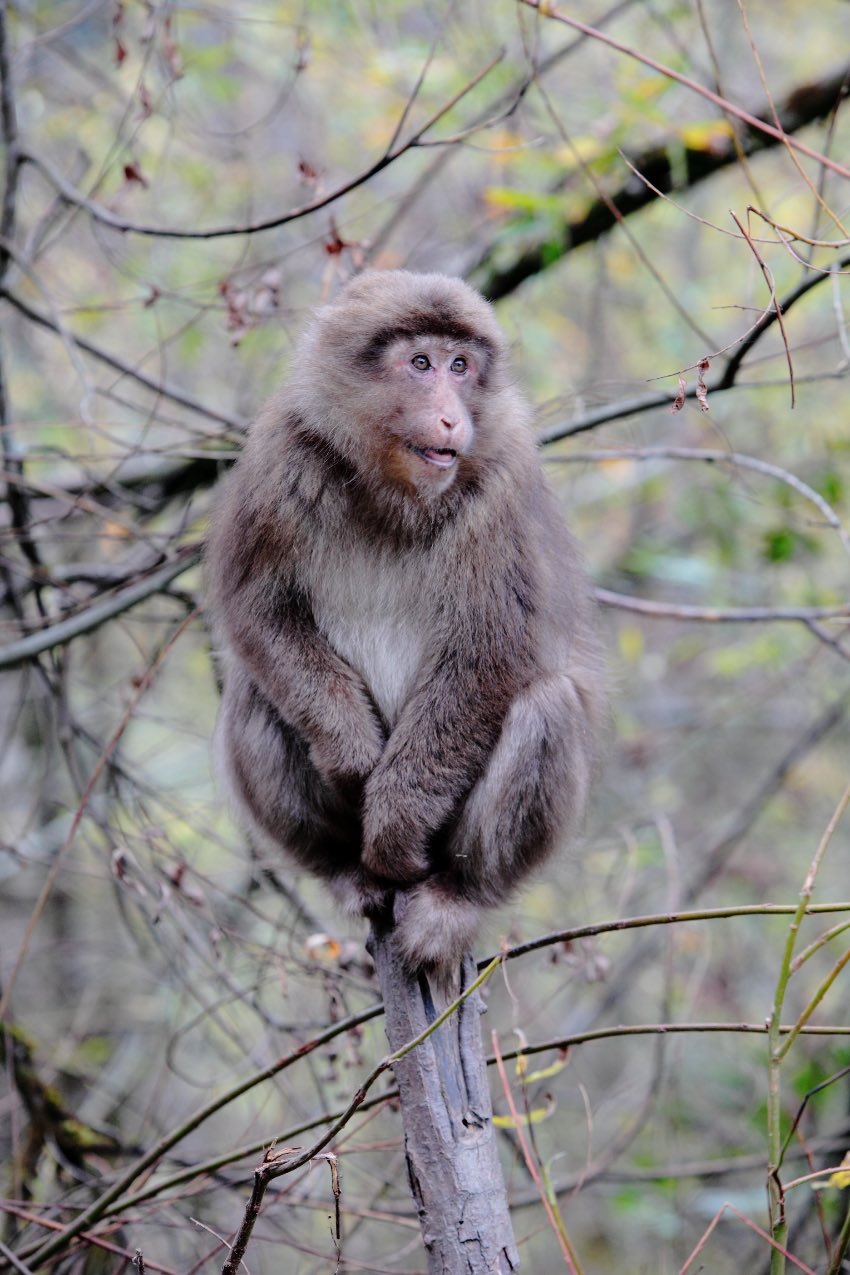 ںݜϵĲݜϾ^ֹD