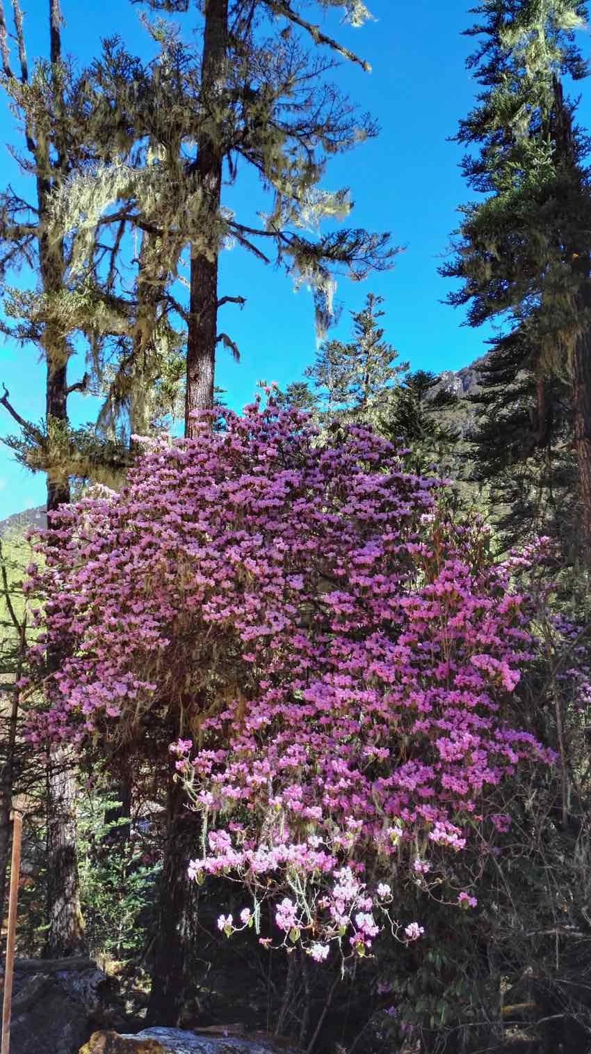 LںݜϵĶNݜϾ^ֹD