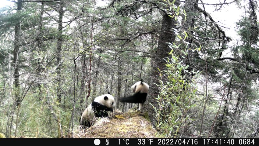 ĴSȻo^ռյļtCrlFҜυ^Ĕz؈ۼ򶷠ZĮDƬҕl؈D