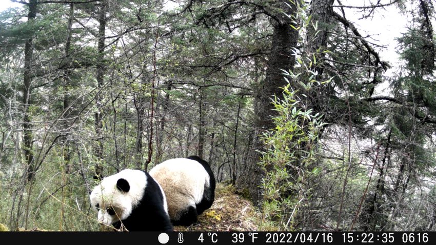 ĴSȻo^ռյļtCrlFҜυ^Ĕz؈ۼ򶷠ZĮDƬҕl؈D