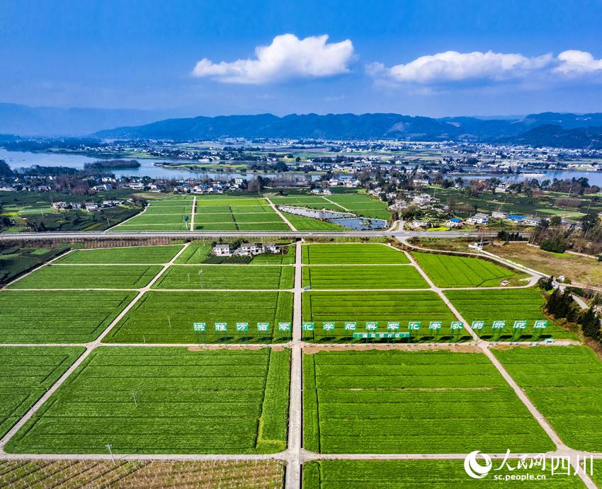 Ÿߘ˜rｨO·WJt z