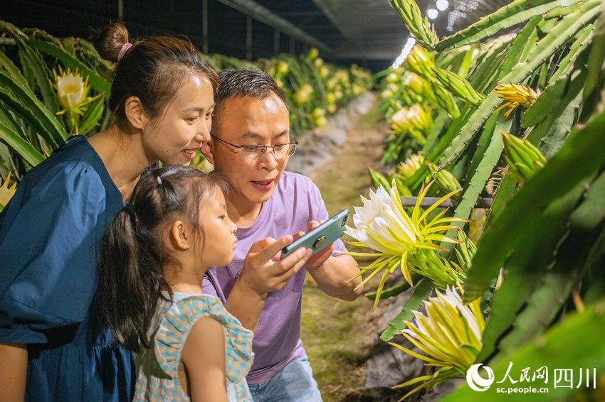 gǰ^pһһF^̹⽨z