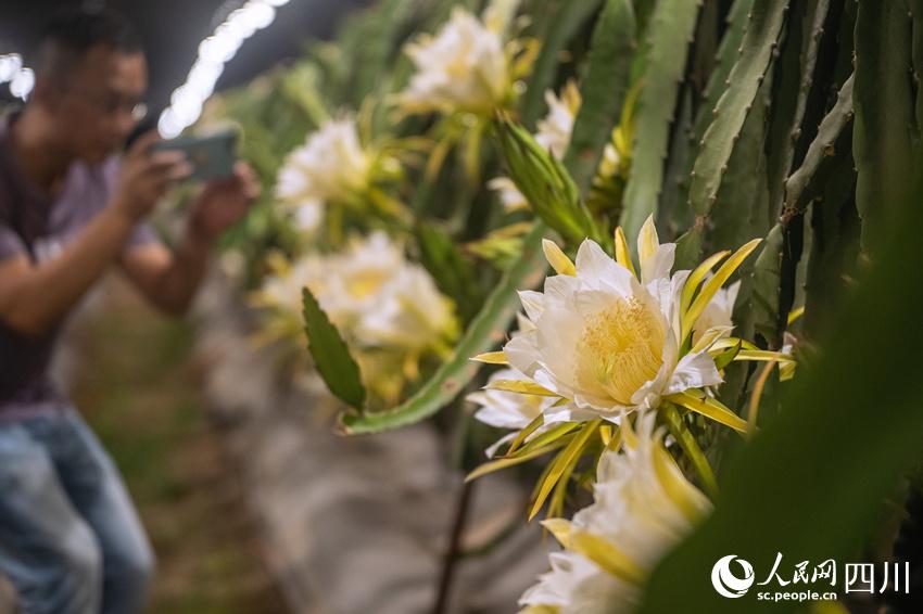 gǰ^pһһF^̹⽨z