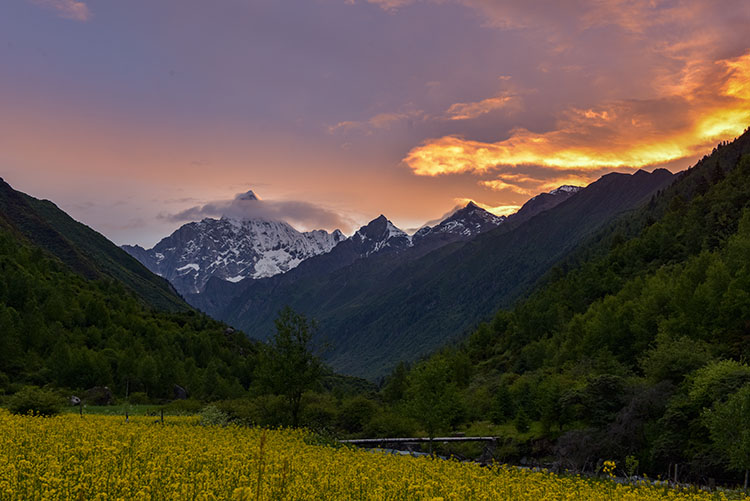 cĹɽеġ÷塱Ĺɽ^ֹD