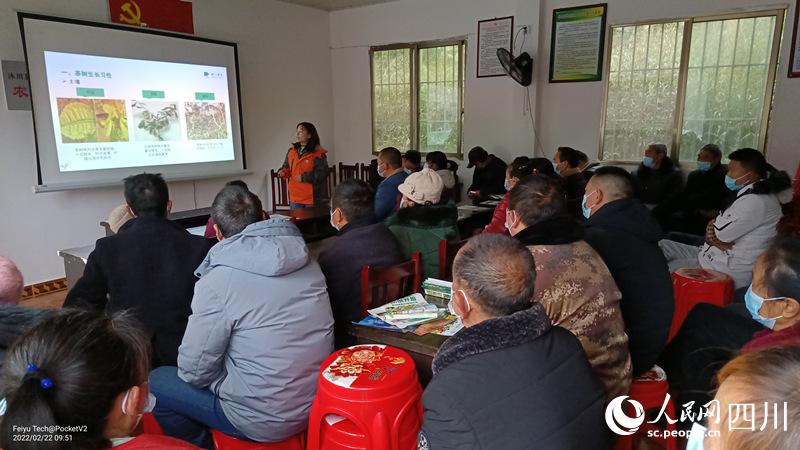 邀請種植技術員給村民講解茶葉種植施肥技術。鄧潤攝