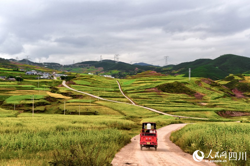 昭覺縣碗廠鄉，村與村之間的坡地田間道。夏建勝攝