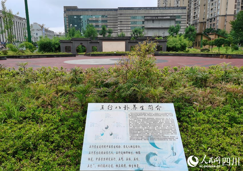 長寧縣中醫醫院中藥材種植園及太極健身廣場。人民網 劉海天攝