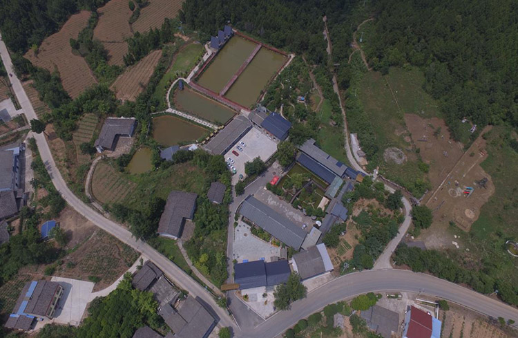 老村委會改建的“金色家園”農家樂。劍閣縣融媒體中心供圖