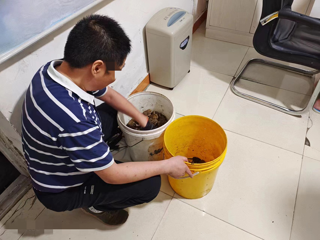 獵捕蟾蜍的犯罪嫌疑人。綿陽市公安局供圖