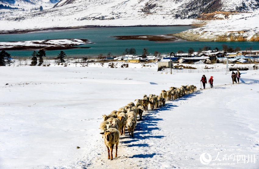 冕寧氣候宜居，旅游資源豐富，圖為省級自然保護區冶勒冬日美景。丁冬華攝