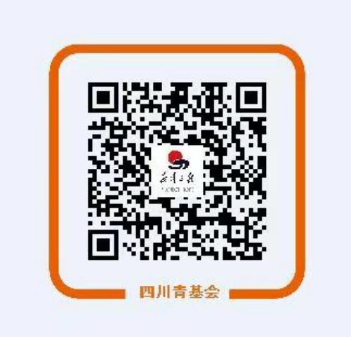 支付寶捐贈二維碼。共青團四川省委供圖