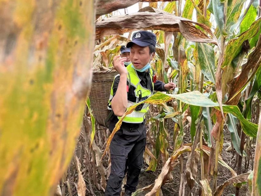 帳篷警務室幫助災區群眾搶收玉米。甘孜公安供圖