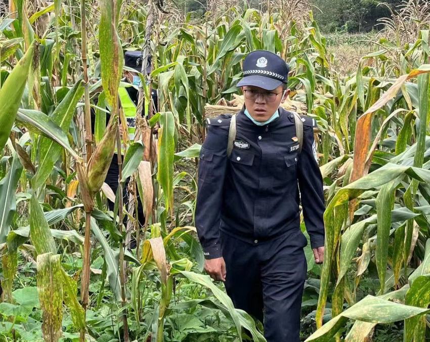 帳篷警務室幫助災區群眾搶收玉米。甘孜公安供圖