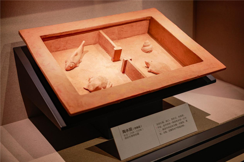 天府農耕文明主題展上展示的東漢陶水田（仿制品）。