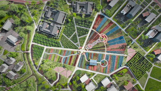 新津共享農莊。新津區委宣傳部供圖