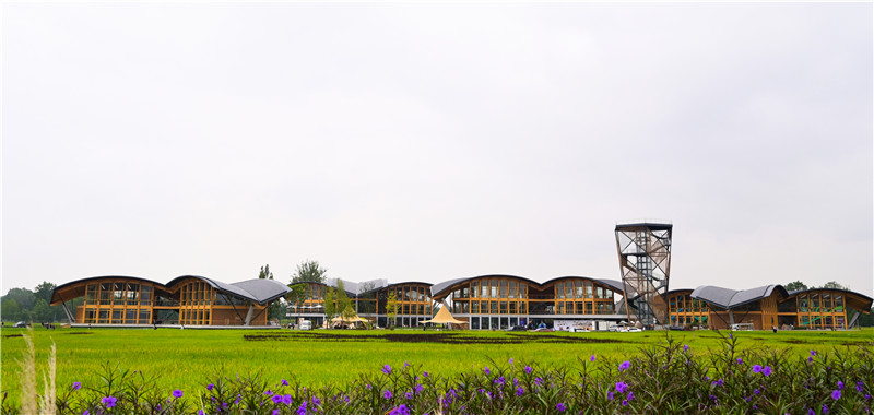 中國天府農博園內，24節氣塔立于青苗建筑群中，與自然農田和諧共融。新津區委宣傳部供圖