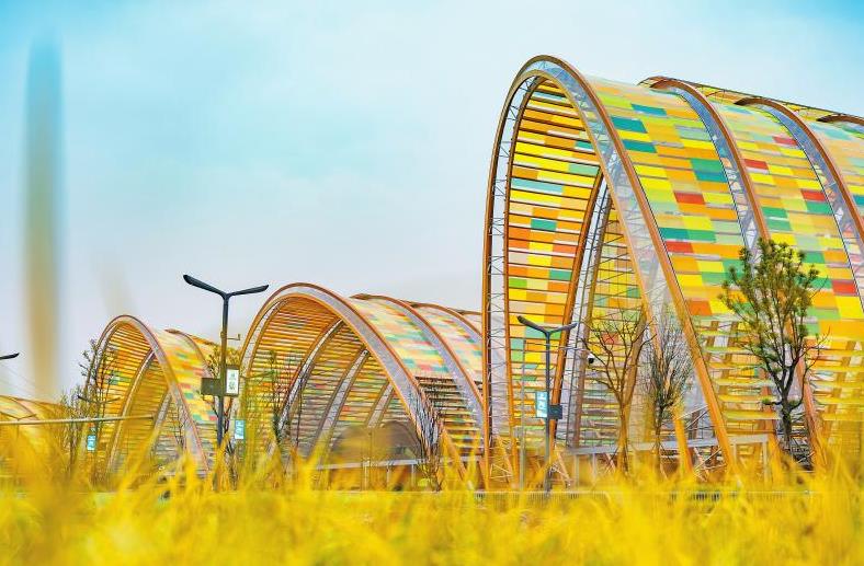 豐收節，來了！