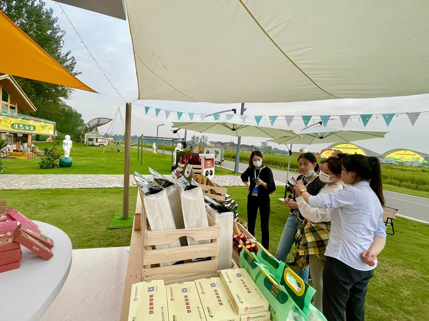 正在展館前參觀的市民。中國郵政四川省分公司供圖