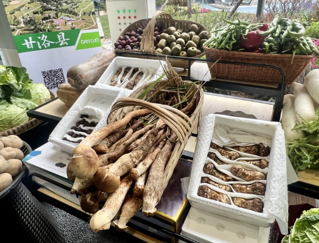 參展農產品。涼山州委宣傳部供圖
