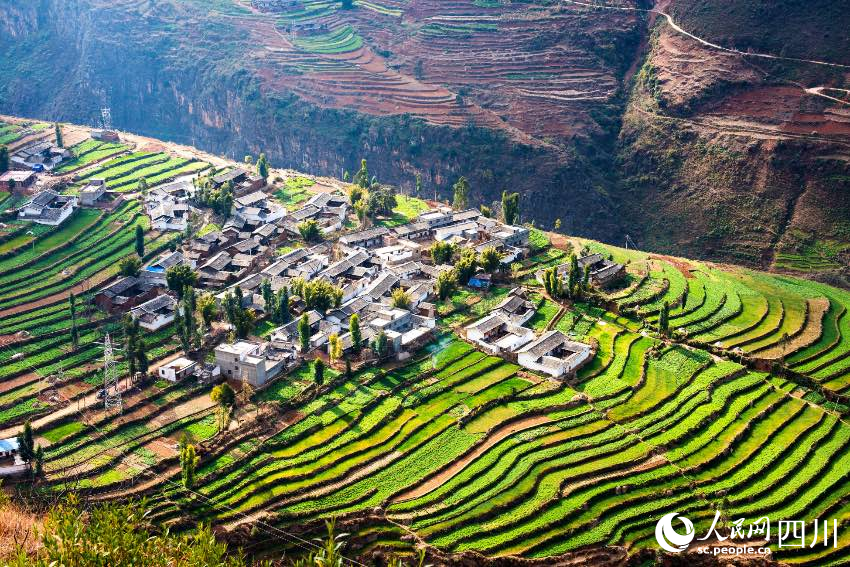 會東梯田。李益民攝